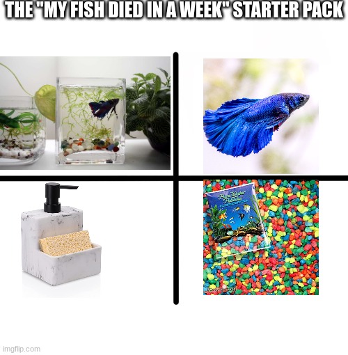 All good fishkeepers know about this | THE "MY FISH DIED IN A WEEK" STARTER PACK | image tagged in memes,blank starter pack,aquarium | made w/ Imgflip meme maker