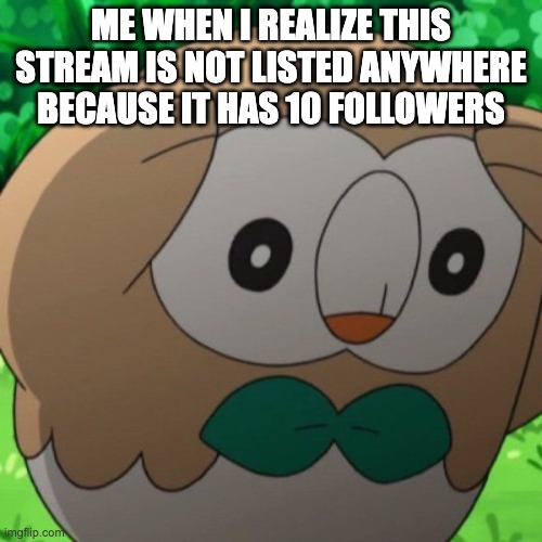 Rowlet Meme Template | ME WHEN I REALIZE THIS STREAM IS NOT LISTED ANYWHERE BECAUSE IT HAS 10 FOLLOWERS | image tagged in rowlet meme template | made w/ Imgflip meme maker