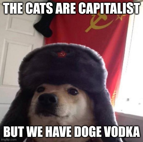i like cheese | THE CATS ARE CAPITALIST; BUT WE HAVE DOGE VODKA | image tagged in russian doge,communism,anti furry | made w/ Imgflip meme maker