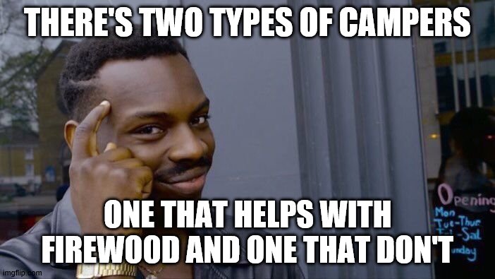 Roll Safe Think About It | THERE'S TWO TYPES OF CAMPERS; ONE THAT HELPS WITH FIREWOOD AND ONE THAT DON'T | image tagged in memes,roll safe think about it | made w/ Imgflip meme maker