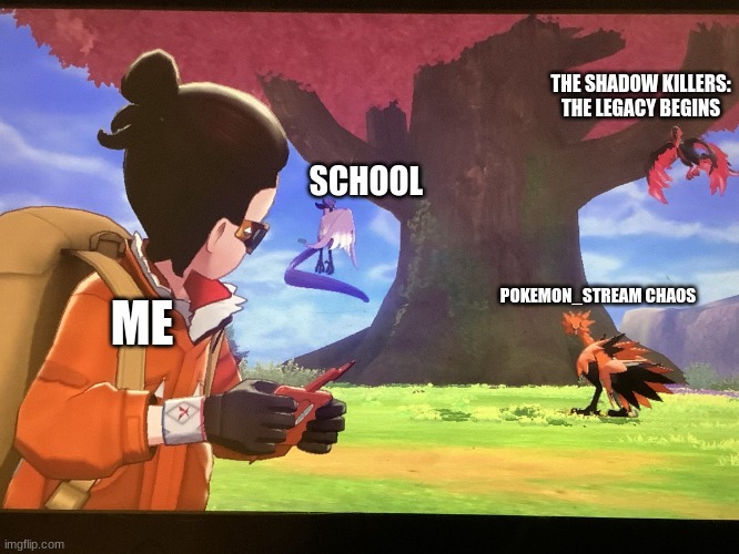 I made this temp on my alt | THE SHADOW KILLERS: THE LEGACY BEGINS; SCHOOL; POKEMON_STREAM CHAOS; ME | image tagged in galarian bird trio staring at player | made w/ Imgflip meme maker