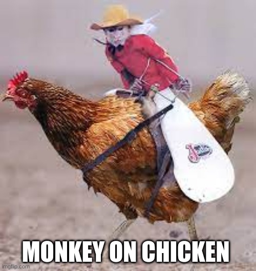monkey | MONKEY ON CHICKEN | image tagged in funny,monkey | made w/ Imgflip meme maker
