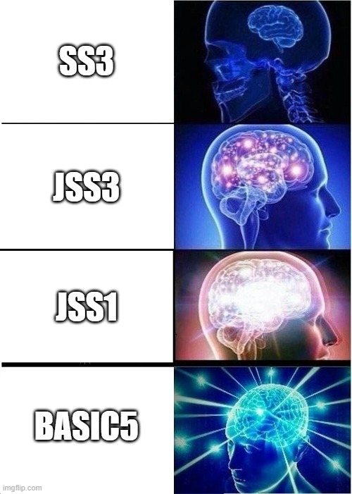 my days at school | SS3; JSS3; JSS1; BASIC5 | image tagged in memes,expanding brain | made w/ Imgflip meme maker