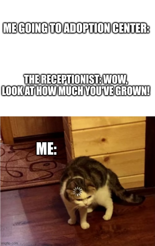  ME GOING TO ADOPTION CENTER:; THE RECEPTIONIST: WOW, LOOK AT HOW MUCH YOU'VE GROWN! ME: | image tagged in loading cat,adopted | made w/ Imgflip meme maker