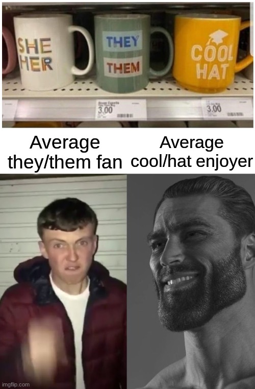Cool/Hat | Average cool/hat enjoyer; Average they/them fan | image tagged in average fan vs average enjoyer | made w/ Imgflip meme maker