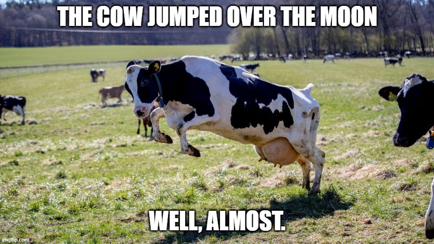 Cows.. |  THE COW JUMPED OVER THE MOON; WELL, ALMOST. | image tagged in cow | made w/ Imgflip meme maker