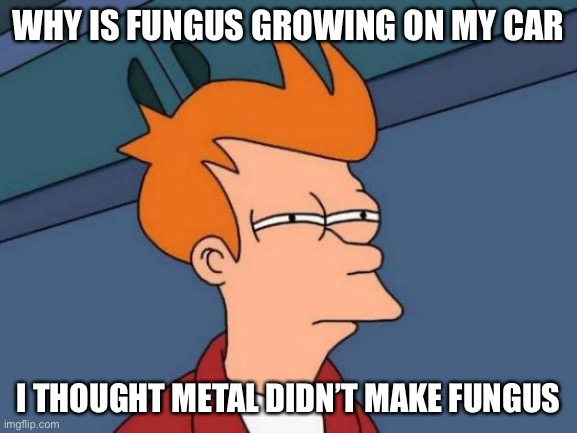 Futurama Fry | WHY IS FUNGUS GROWING ON MY CAR; I THOUGHT METAL DIDN’T MAKE FUNGUS | image tagged in memes,futurama fry | made w/ Imgflip meme maker