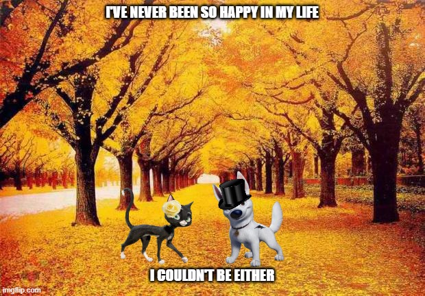 bolttens autumn romance | I'VE NEVER BEEN SO HAPPY IN MY LIFE; I COULDN'T BE EITHER | image tagged in autumn trees,disney,dogs,cats,romance | made w/ Imgflip meme maker