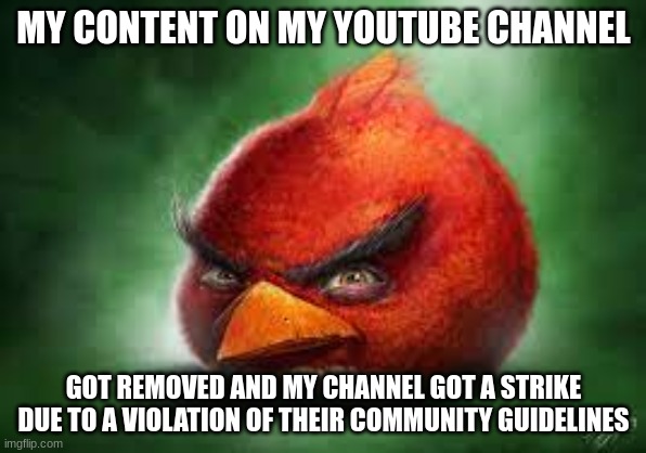 Realistic Red Angry Birds | MY CONTENT ON MY YOUTUBE CHANNEL; GOT REMOVED AND MY CHANNEL GOT A STRIKE DUE TO A VIOLATION OF THEIR COMMUNITY GUIDELINES | image tagged in realistic red angry birds,youtube,youtube strike,youtube community guidelines | made w/ Imgflip meme maker