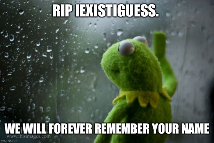 ?????????? | RIP IEXISTIGUESS. WE WILL FOREVER REMEMBER YOUR NAME | image tagged in kermit window | made w/ Imgflip meme maker