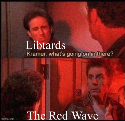The Red Wave | Libtards; The Red Wave | image tagged in kramer what's going on in there two panel template | made w/ Imgflip meme maker