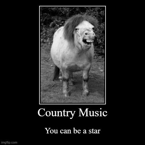 Country Music | You can be a star | image tagged in funny,demotivationals,40s,country,music | made w/ Imgflip demotivational maker