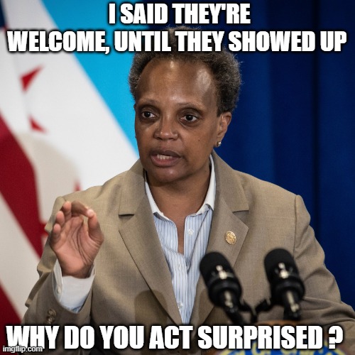 lori lightfoot | I SAID THEY'RE WELCOME, UNTIL THEY SHOWED UP; WHY DO YOU ACT SURPRISED ? | image tagged in lori lightfoot | made w/ Imgflip meme maker