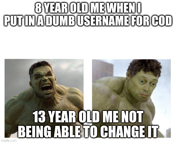 True | 8 YEAR OLD ME WHEN I PUT IN A DUMB USERNAME FOR COD; 13 YEAR OLD ME NOT BEING ABLE TO CHANGE IT | image tagged in hulk angry then realizes he's wrong | made w/ Imgflip meme maker