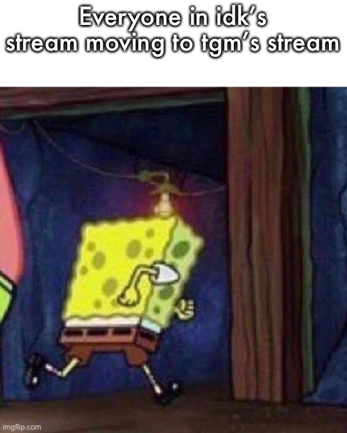 Everyone in idk’s stream moving to tgm’s stream | made w/ Imgflip meme maker