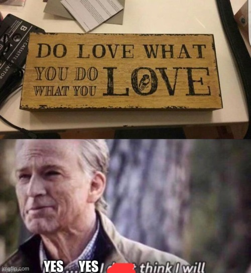 Do what you do what you love | image tagged in no i dont think i will,lol,you had one job,lol so funny,funny | made w/ Imgflip meme maker