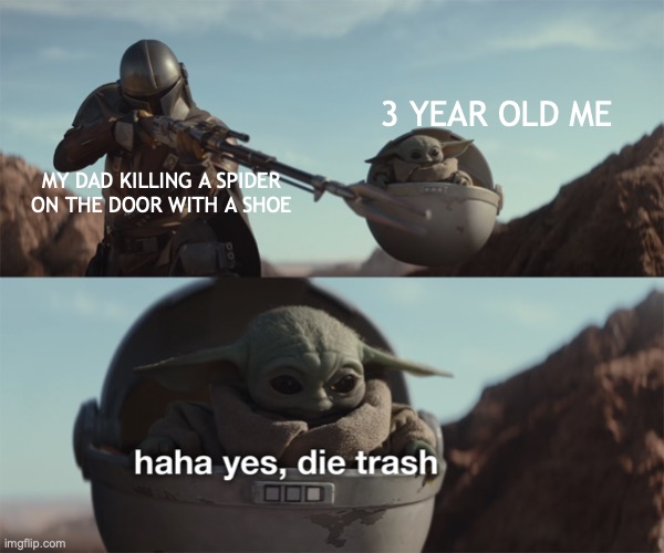 baby yoda die trash | 3 YEAR OLD ME; MY DAD KILLING A SPIDER ON THE DOOR WITH A SHOE | image tagged in baby yoda die trash | made w/ Imgflip meme maker