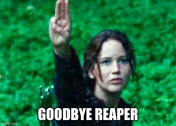 goodbye | GOODBYE REAPER | image tagged in katniss salute | made w/ Imgflip meme maker