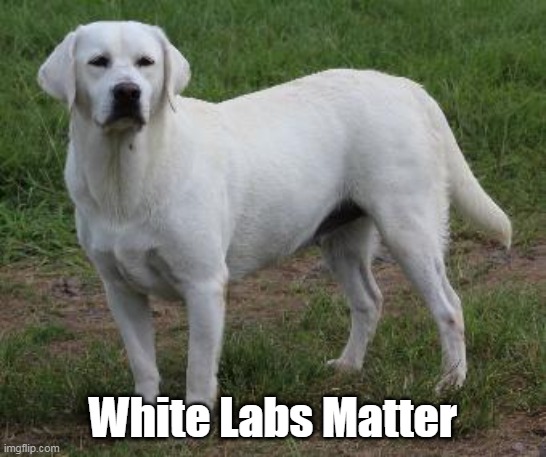 White Labs Matter | made w/ Imgflip meme maker