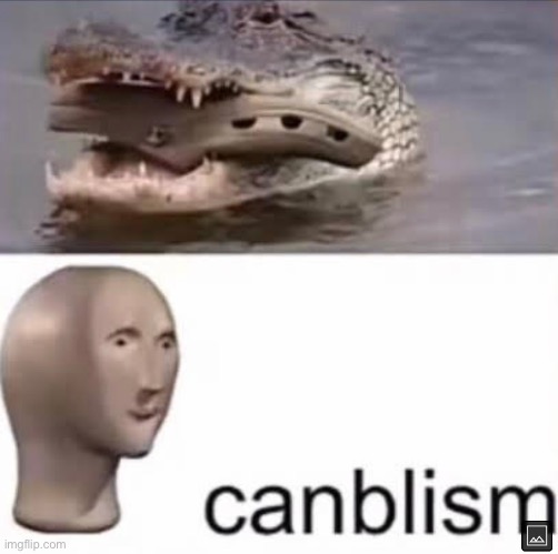 Croc | image tagged in memes | made w/ Imgflip meme maker