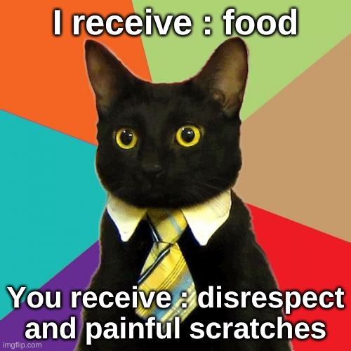 OK | I receive : food; You receive : disrespect and painful scratches | image tagged in memes,business cat | made w/ Imgflip meme maker