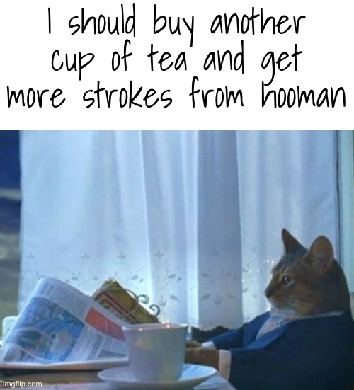 Random | I should buy another cup of tea and get more strokes from hooman | image tagged in memes,i should buy a boat cat | made w/ Imgflip meme maker