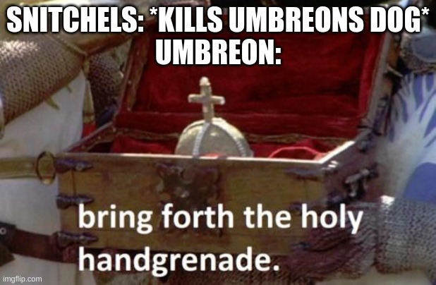 yeet | SNITCHELS: *KILLS UMBREONS DOG*
UMBREON: | image tagged in bring forth the holy hand grenade | made w/ Imgflip meme maker