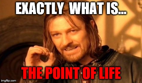 One Does Not Simply Meme | EXACTLY  WHAT IS... THE POINT OF LIFE | image tagged in memes,one does not simply | made w/ Imgflip meme maker