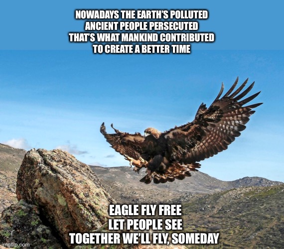 Watching birds out my window, wanting to commune with nature | NOWADAYS THE EARTH’S POLLUTED
ANCIENT PEOPLE PERSECUTED
THAT’S WHAT MANKIND CONTRIBUTED
TO CREATE A BETTER TIME; EAGLE FLY FREE
LET PEOPLE SEE
TOGETHER WE’LL FLY, SOMEDAY | image tagged in helloween | made w/ Imgflip meme maker