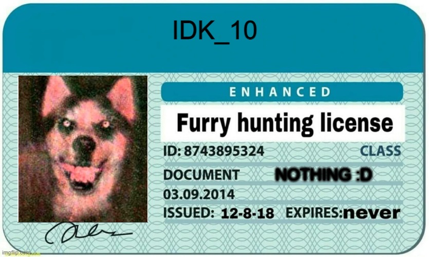 There |  IDK_10; NOTHING :D | image tagged in furry hunting license | made w/ Imgflip meme maker