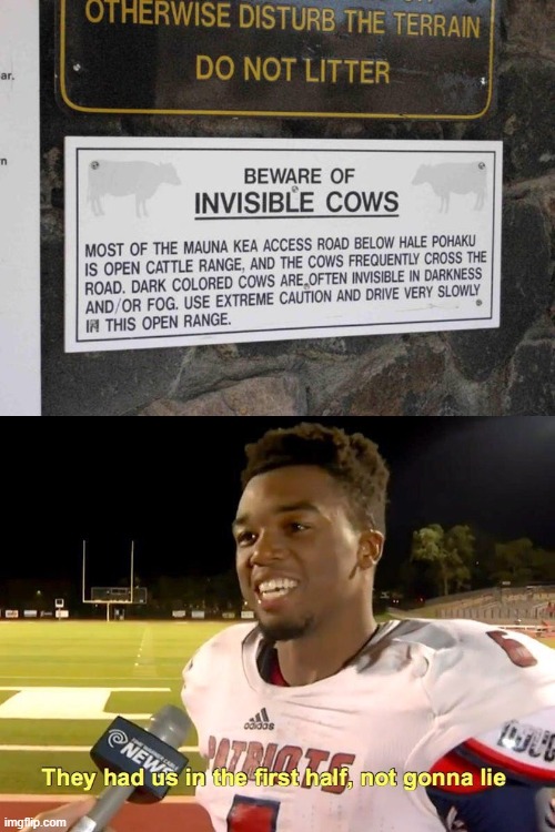 invisible cows | image tagged in they had us in the first half,invisible cows | made w/ Imgflip meme maker