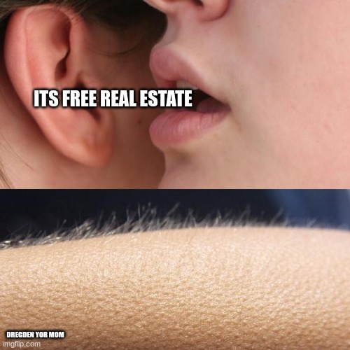 now theirs a pretty meme | ITS FREE REAL ESTATE; DREGDEN YOR MOM | image tagged in whisper and goosebumps | made w/ Imgflip meme maker