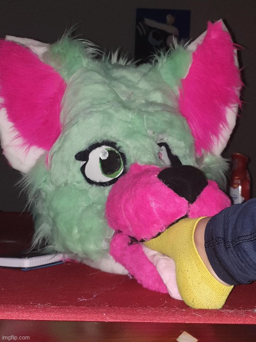 day 5 of cursed fursuits bc why not xD (IMAGE IS NOT MINE!!!) | image tagged in cursed image,cursed,fursuit,you have been eternally cursed for reading the tags,furry fandom,furry | made w/ Imgflip meme maker