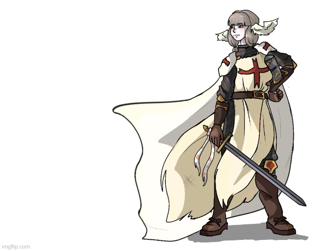 Crusader Quandria | image tagged in crusader quandria | made w/ Imgflip meme maker