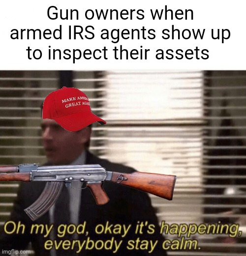 It's only a matter of time right? :/ | Gun owners when armed IRS agents show up to inspect their assets | image tagged in internal screaming,oh my god okay it's happening everybody stay calm,maga | made w/ Imgflip meme maker