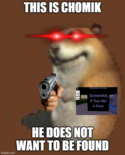chomik must kill | THIS IS CHOMIK; HE DOES NOT WANT TO BE FOUND | image tagged in hamster | made w/ Imgflip meme maker