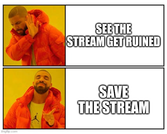 me: | SEE THE STREAM GET RUINED; SAVE THE STREAM | image tagged in no - yes | made w/ Imgflip meme maker