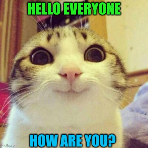 Hello today | HELLO EVERYONE; HOW ARE YOU? | image tagged in memes,smiling cat | made w/ Imgflip meme maker