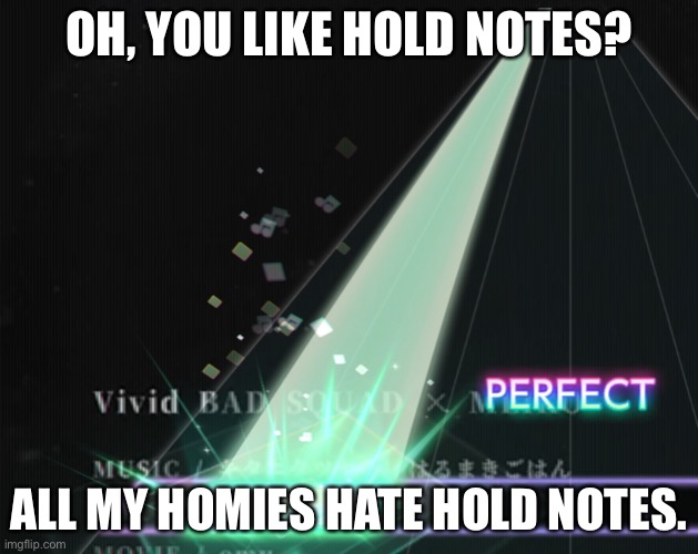 Project sekai be like | OH, YOU LIKE HOLD NOTES? ALL MY HOMIES HATE HOLD NOTES. | image tagged in hold note | made w/ Imgflip meme maker