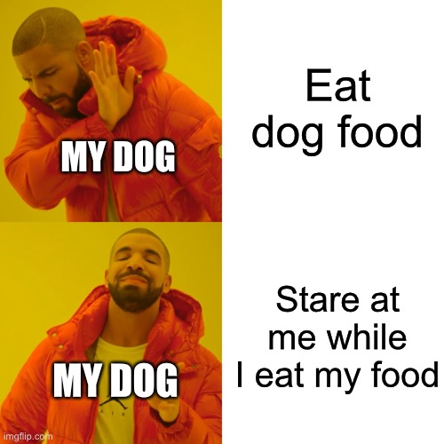 Dogs be like | Eat dog food; MY DOG; Stare at me while I eat my food; MY DOG | image tagged in memes,drake hotline bling | made w/ Imgflip meme maker