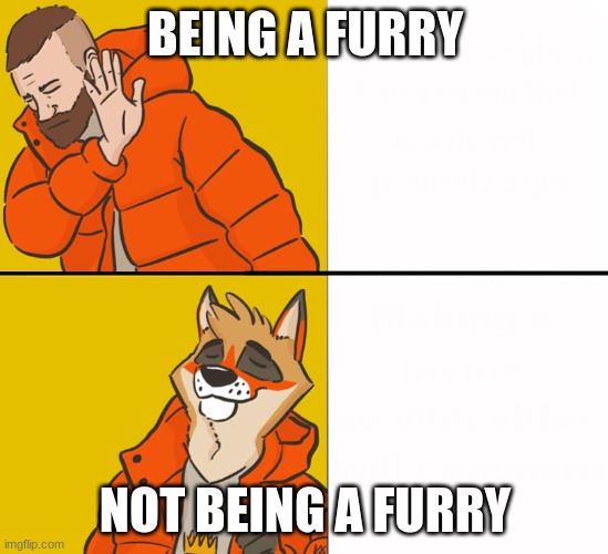 more | BEING A FURRY; NOT BEING A FURRY | image tagged in furry drake,anti furry | made w/ Imgflip meme maker