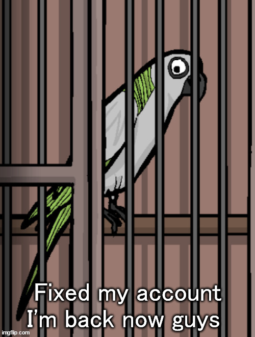 Bird on crack | Fixed my account I'm back now guys | image tagged in bird on crack | made w/ Imgflip meme maker