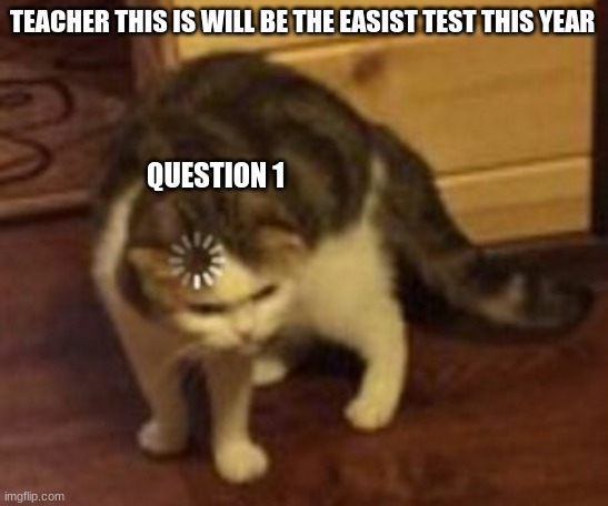 Loading cat | TEACHER THIS IS WILL BE THE EASIST TEST THIS YEAR; QUESTION 1 | image tagged in loading cat,cats,cat,confused screaming,math,test | made w/ Imgflip meme maker