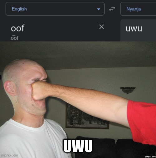 UWU | image tagged in face punch | made w/ Imgflip meme maker