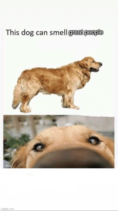 this dog can smell | great people | image tagged in this dog can smell | made w/ Imgflip meme maker