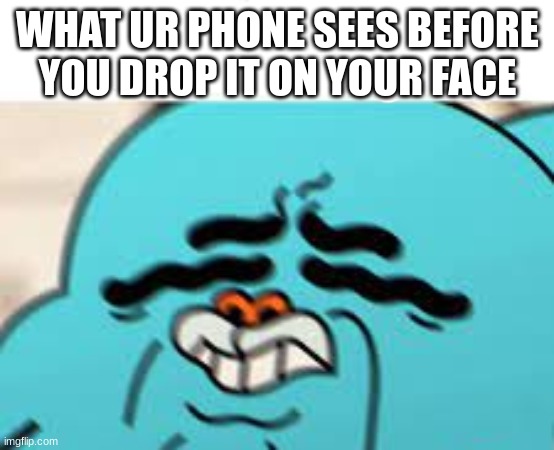 me |  WHAT UR PHONE SEES BEFORE YOU DROP IT ON YOUR FACE | image tagged in phone,memes | made w/ Imgflip meme maker