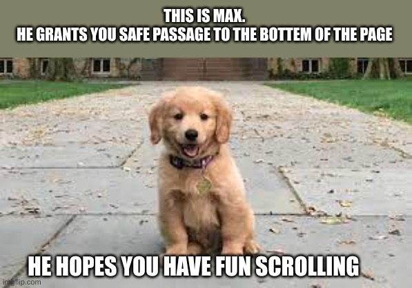 say hello to max :D | THIS IS MAX. 
HE GRANTS YOU SAFE PASSAGE TO THE BOTTEM OF THE PAGE; HE HOPES YOU HAVE FUN SCROLLING | image tagged in doge,dog,meme,lol,funny ha ha,what is the dog doing | made w/ Imgflip meme maker