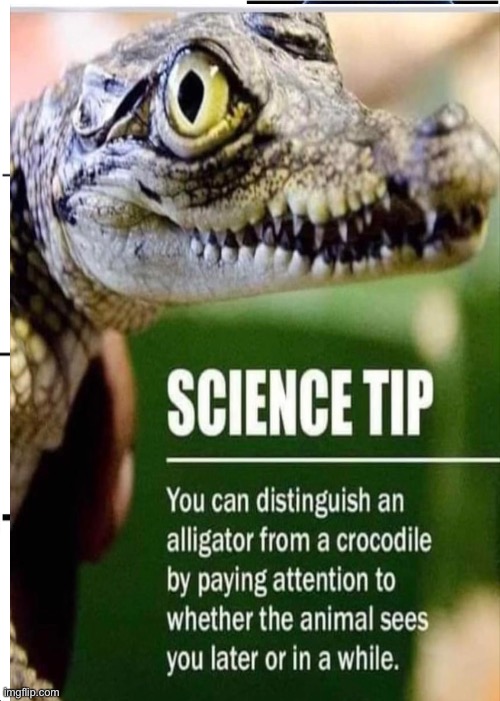 Science tips | image tagged in science | made w/ Imgflip meme maker