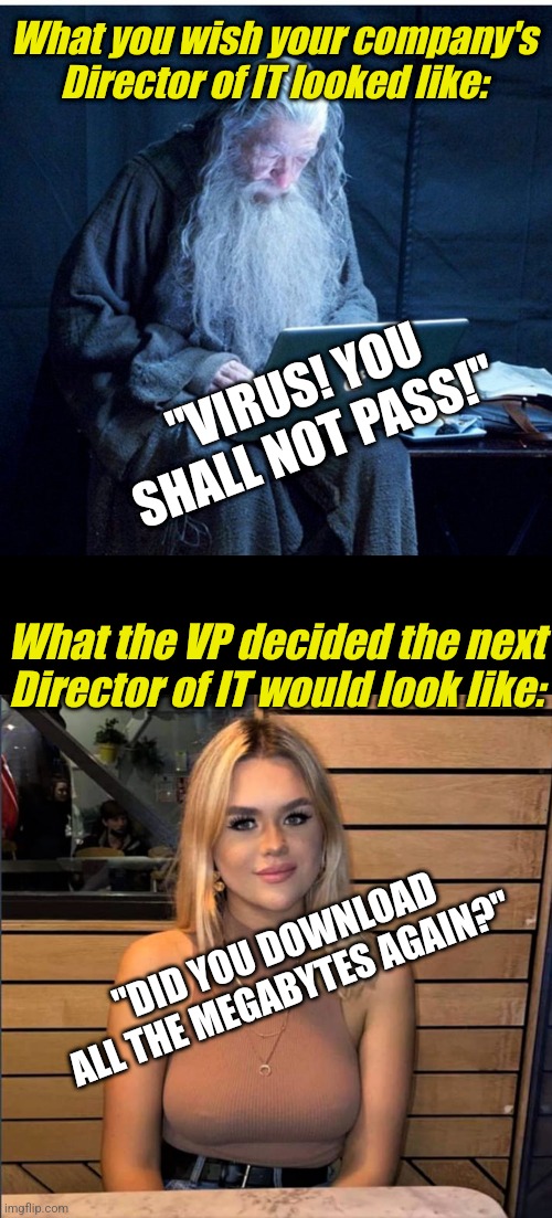 I've seen this happen with my own eyes | What you wish your company's Director of IT looked like:; "VIRUS! YOU SHALL NOT PASS!"; What the VP decided the next Director of IT would look like:; "DID YOU DOWNLOAD ALL THE MEGABYTES AGAIN?" | image tagged in gandalf programmer,employees,promotion,wtf,expectation vs reality,its not going to happen | made w/ Imgflip meme maker