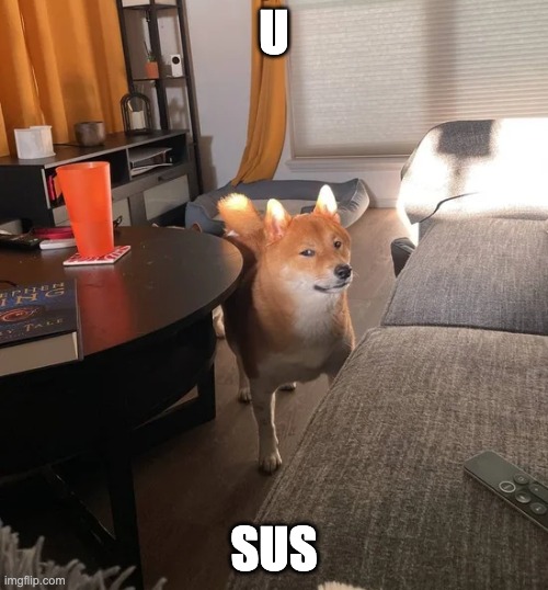 U; SUS | made w/ Imgflip meme maker